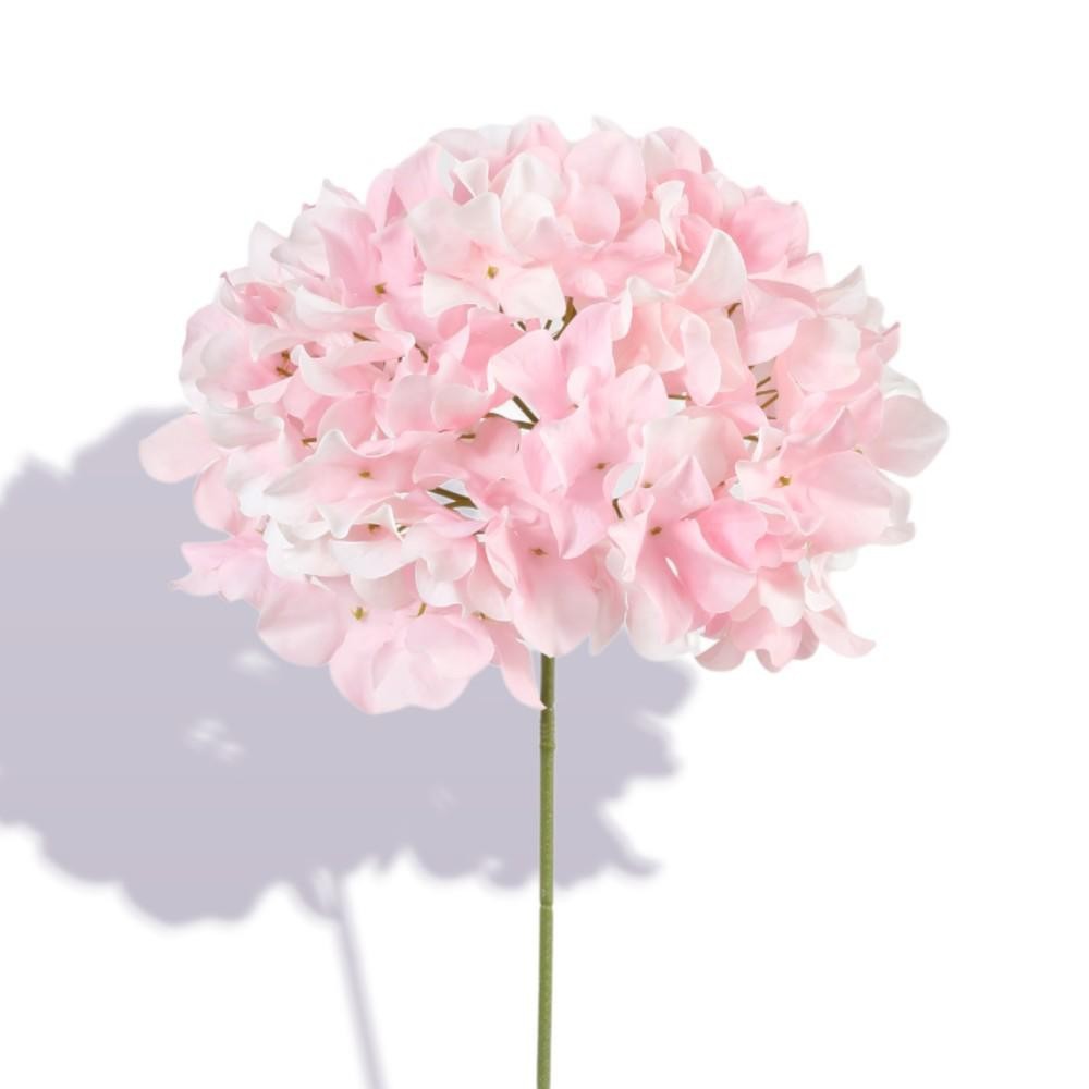 ORTENSIA SINGOLA CM.76 ROSA